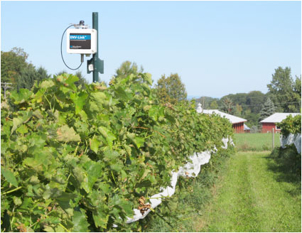 Shelburne Vineyard ENV-Link remotely monitoring temperature, relative humidity, solar radiation, soil moisture, and leaf wetness. © MicroStrain, Inc.